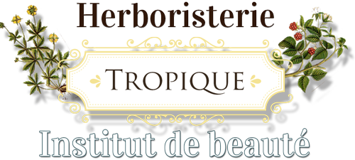 Herboristerie Nice Logo