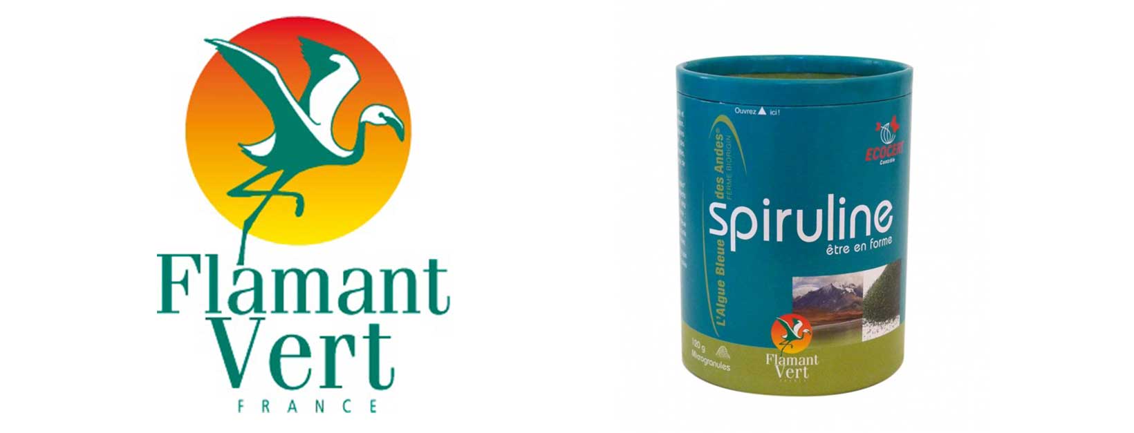 spiruline nice flamand vert